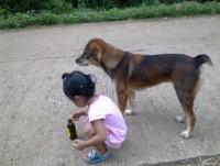 post-70928-0-47794700-1356247578_thumb.j