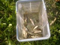 post-70928-0-61618400-1356369051_thumb.j