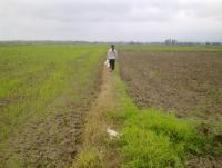 post-70928-0-79185100-1356117985_thumb.j