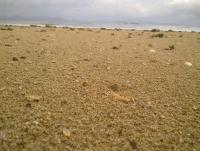 post-70928-0-88292400-1356877776_thumb.j