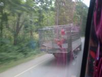 post-70928-0-88502000-1356711947_thumb.j