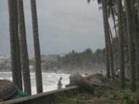 post-70928-0-89019200-1356441703_thumb.j