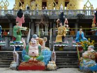 post-7932-0-12824300-1356273612_thumb.jp