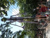 post-7932-0-83502500-1356273244_thumb.jp