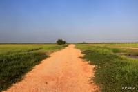 post-85461-0-14860600-1356831636_thumb.j