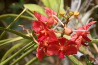 post-85461-0-30848900-1355404015_thumb.j