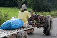 post-85461-0-52966100-1355238970_thumb.j