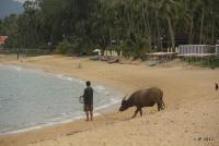 post-85461-0-65025200-1356169231_thumb.j