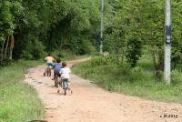 post-85461-0-68125200-1355490428_thumb.j