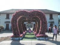 post-95995-0-17191000-1355550042_thumb.j