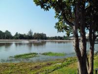 post-95995-0-22158300-1356156151_thumb.j