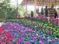 post-95995-0-23729300-1356156286_thumb.j