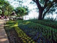 post-95995-0-24200500-1356156177_thumb.j