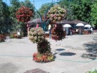 post-95995-0-27890600-1355549964_thumb.j