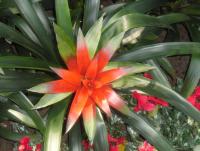 post-95995-0-27990700-1355549713_thumb.j