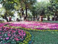 post-95995-0-32069300-1356155878_thumb.j