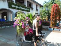 post-95995-0-32584200-1355550073_thumb.j