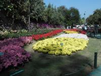 post-95995-0-33119400-1355549894_thumb.j