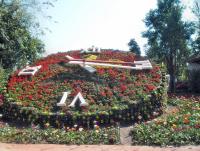 post-95995-0-34395000-1356155723_thumb.j