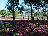 post-95995-0-45480400-1356156228_thumb.j