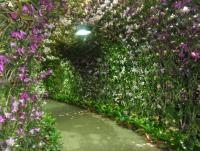 post-95995-0-48777900-1355550004_thumb.j