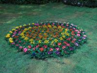 post-95995-0-52865900-1355549853_thumb.j