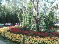 post-95995-0-59820500-1355549572_thumb.j