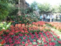 post-95995-0-66061600-1355549746_thumb.j