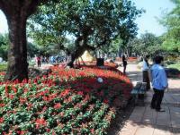 post-95995-0-66893500-1356155954_thumb.j