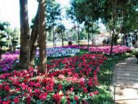 post-95995-0-71928100-1356155823_thumb.j