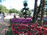 post-95995-0-73022700-1356155846_thumb.j