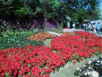 post-95995-0-77480000-1355549928_thumb.j