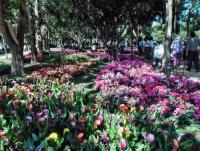 post-95995-0-79391900-1356155748_thumb.j