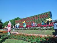 post-95995-0-83976900-1356155926_thumb.j