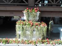 post-95995-0-84977500-1355549441_thumb.j