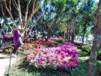 post-95995-0-86332500-1356155801_thumb.j