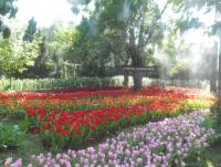 post-95995-0-89370800-1355549469_thumb.j