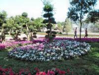 post-95995-0-90195500-1356156202_thumb.j