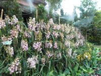 post-95995-0-94611000-1355549815_thumb.j