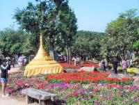 post-95995-0-96543300-1356155986_thumb.j