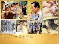 post-113252-0-04336700-1386213827_thumb.