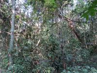 post-12069-0-05025200-1386938525_thumb.j