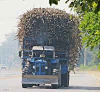 post-12069-0-06209800-1386563316_thumb.j