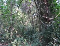 post-12069-0-12174500-1386938621_thumb.j