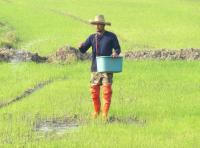 post-12069-0-20377200-1386852407_thumb.j