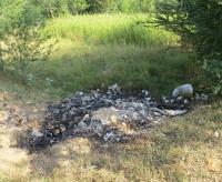 post-12069-0-48982100-1386022122_thumb.j