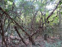 post-12069-0-52928600-1388295192_thumb.j