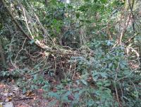 post-12069-0-57469100-1386938777_thumb.j