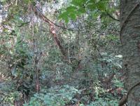 post-12069-0-67758900-1386938429_thumb.j