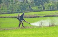 post-12069-0-68450500-1386369566_thumb.j